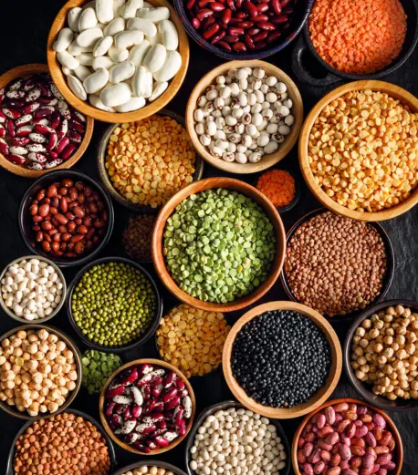 Pulses & Millets